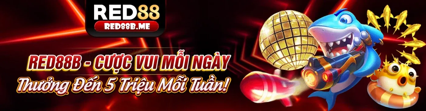 Giao diện ứng dụng Winbet trên điện thoại, trải nghiệm cá cược online